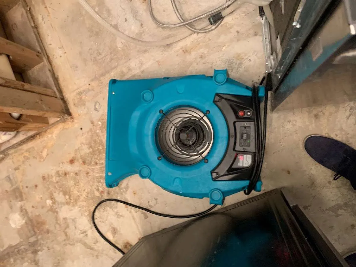 Air mover drying equipment for Mold Remediation & Removal in Redlands